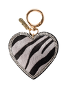 grey zebra