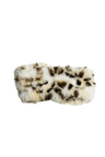 Snow Leopard
