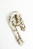 Snow Leopard